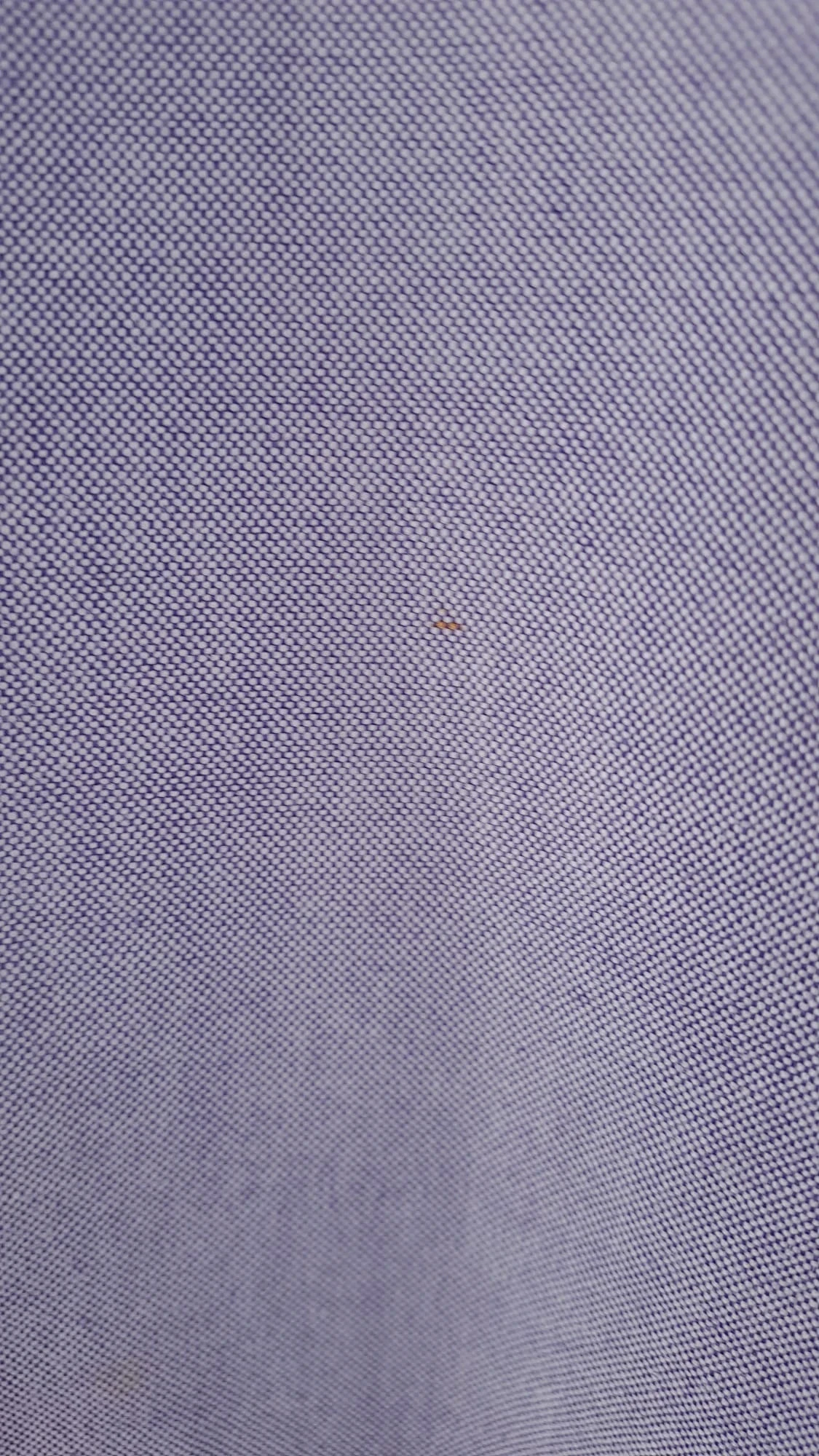 Long sleeve purple shirt / Brown logo / Ralph Lauren / Size XXL / Yarmouth / Men – photo 10